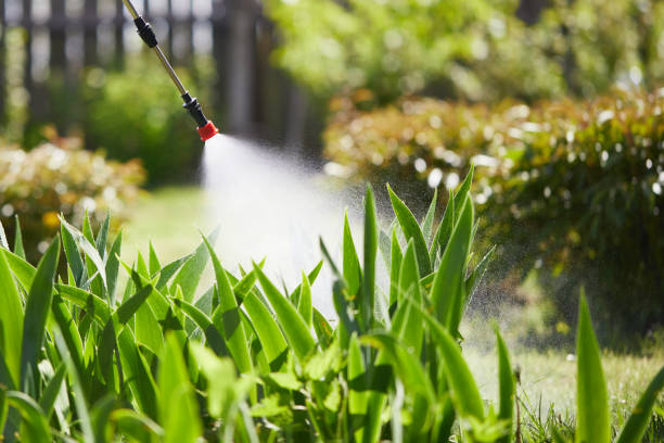 Tamper-Resistant Bait Stations for Rodents in Rosedale