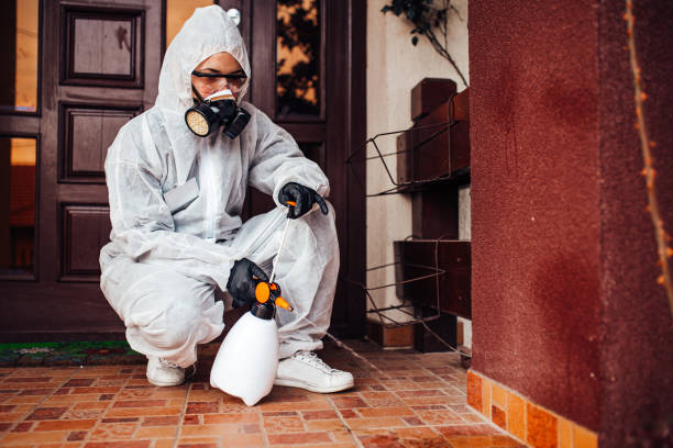 Attic and Crawl Space Rodent Treatment in Rosedale