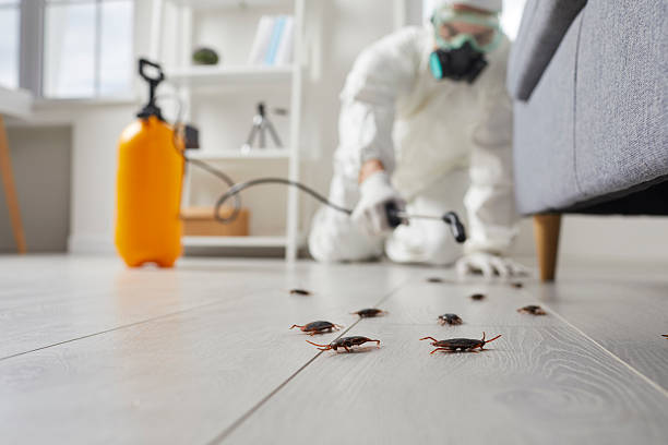 Commercial Rodent Management in Rosedale